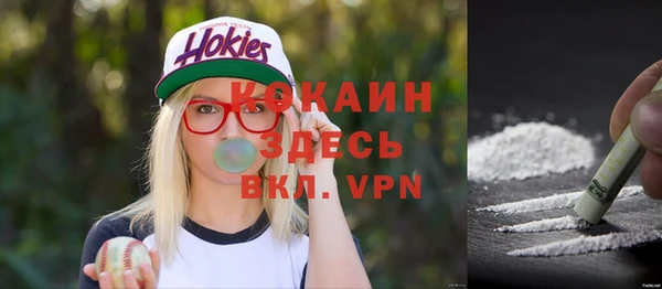 мескалин Богородицк