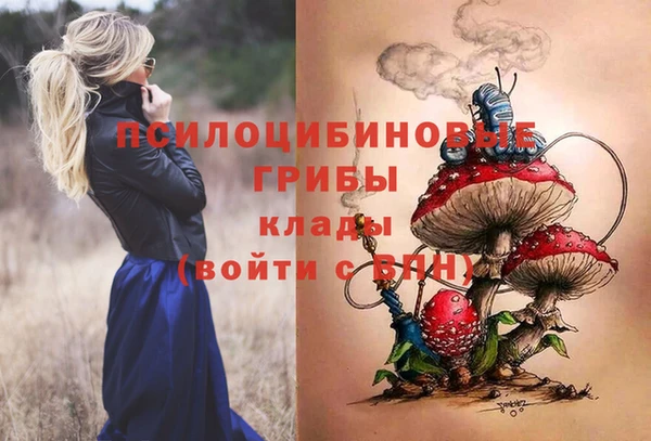 мескалин Богородицк
