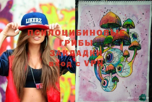 индика Сосновка